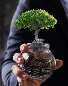 investir em criptomoedas