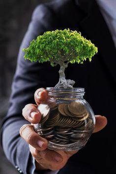 investir em criptomoedas