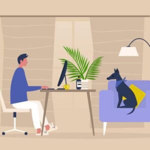 Work from home opportunities