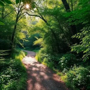 Finding your purpose: unlock your potential and discover fulfillment